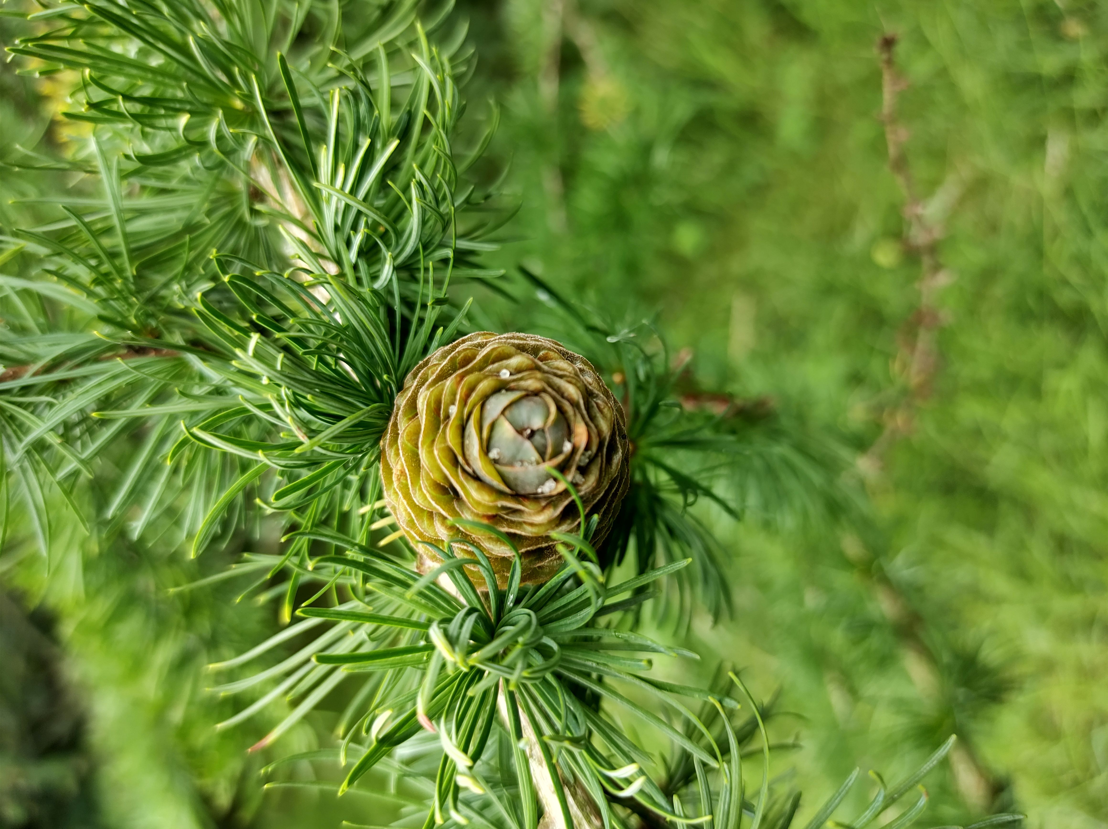 No s'ha trobat l'arxiu